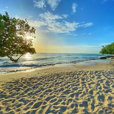 Palm Beach Paradise Vacation Rental Zewnętrze zdjęcie