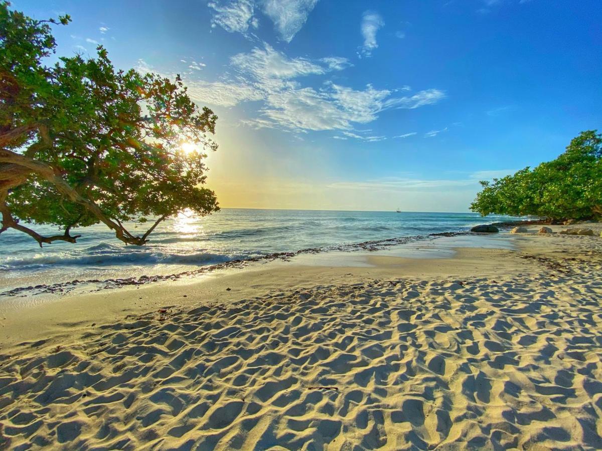 Palm Beach Paradise Vacation Rental Zewnętrze zdjęcie